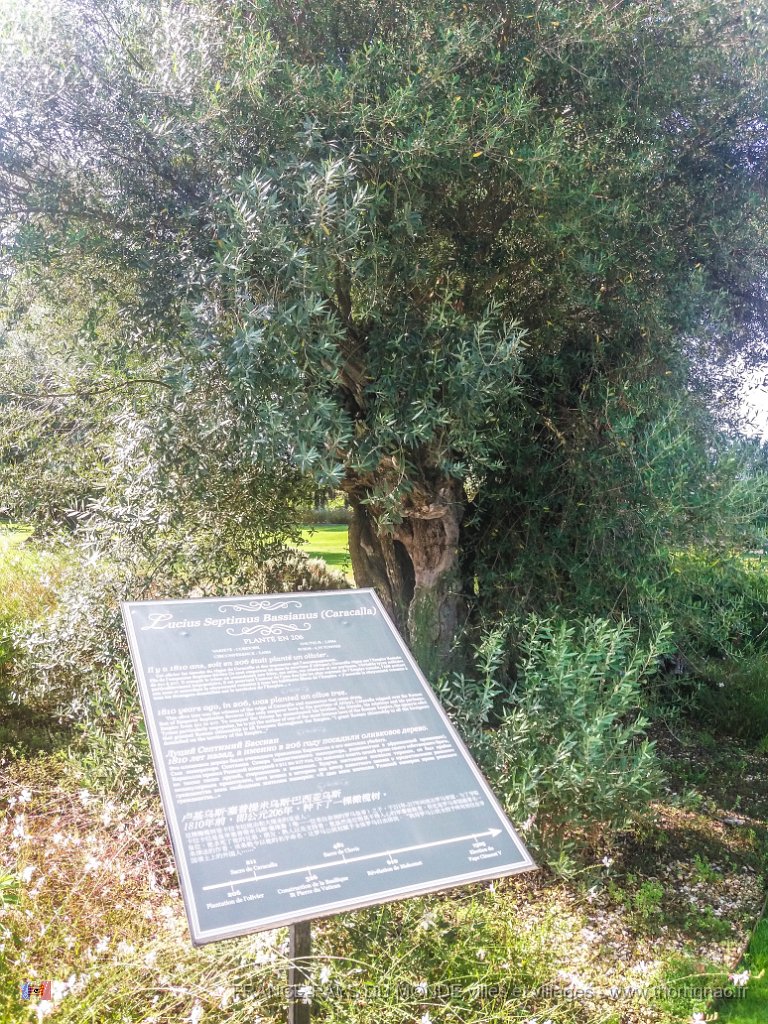 Pape Clement 12 08 2018 3.jpg - Pessac (33) - Pape Clément - 12 août 2018.