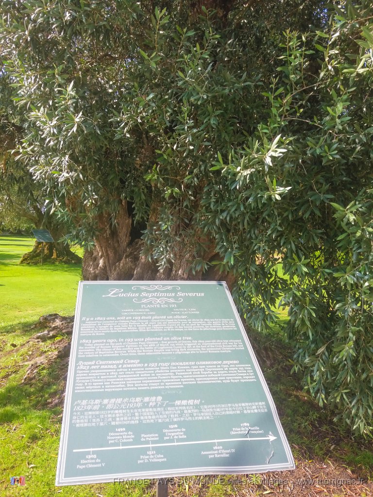 Pape Clement 12 08 2018 5.jpg - Pessac (33) - Pape Clément - 12 août 2018.