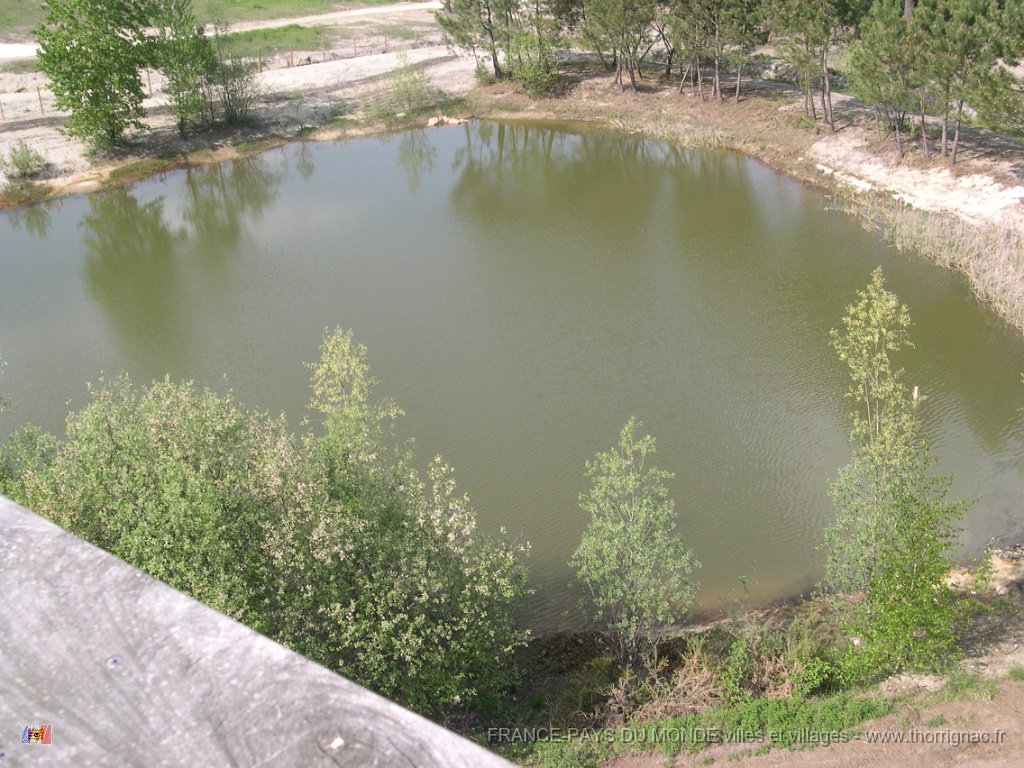 DSCN2430.JPG - Parc du Bourghail. Avril 2010.
