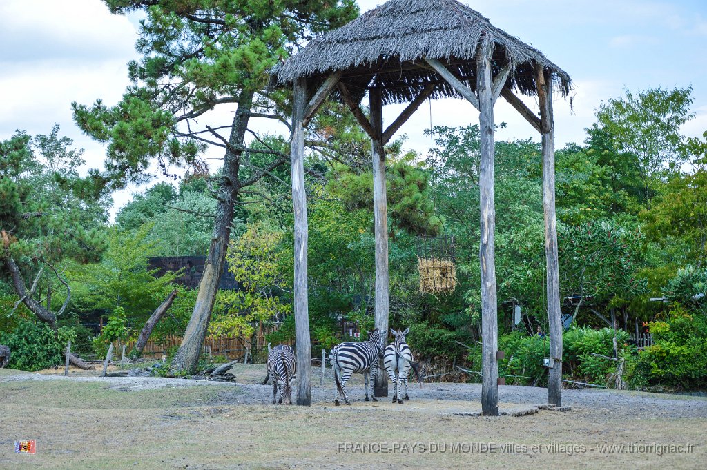 Pessac le zoo 11 08 2018 34.jpg - Pessac (33) - Le Zoo - 11 août 2018.