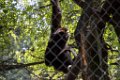 Pessac le zoo 11 08 2018 15