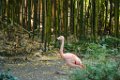 Pessac le zoo 11 08 2018 60