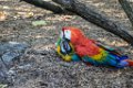 Pessac le zoo 11 08 2018 64