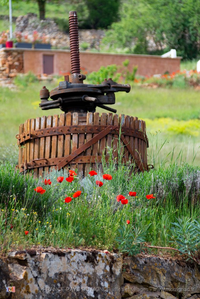 Peyre mai 2019 2.jpg - Peyre (12) - Mai 2019