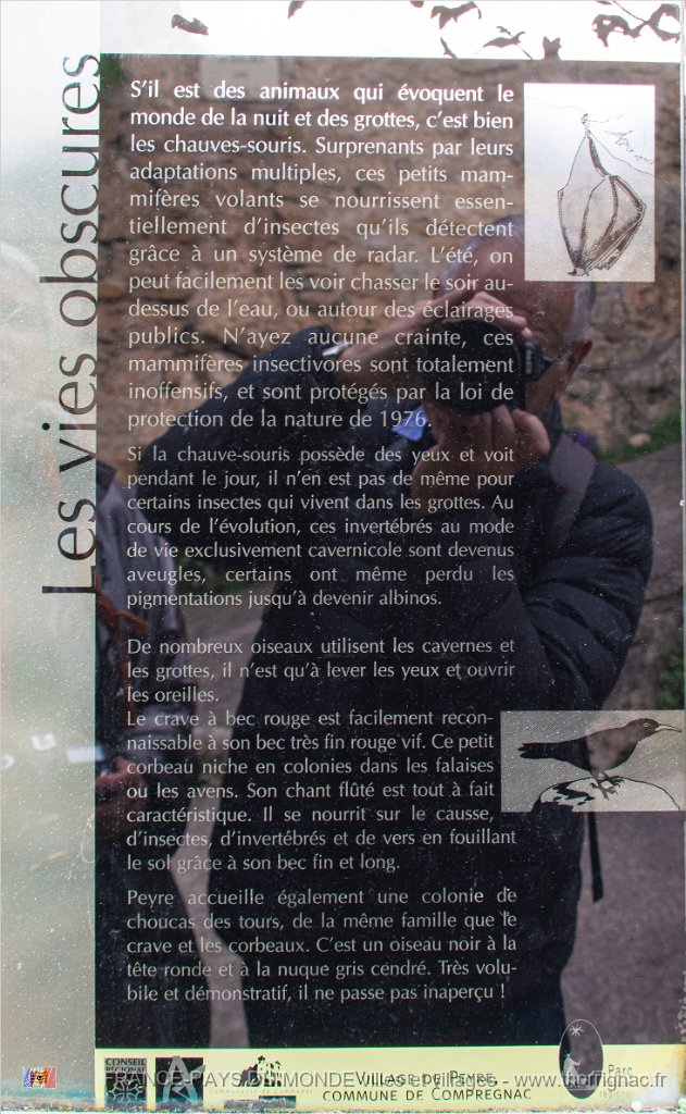 Peyre mai 2019 33.jpg - Peyre (12) - Mai 2019
