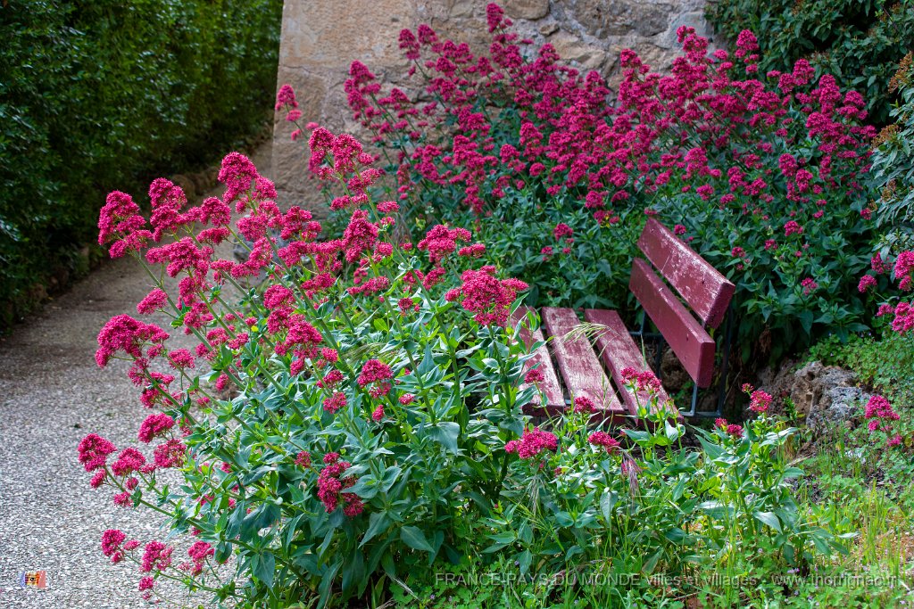 Peyre mai 2019 4.jpg - Peyre (12) - Mai 2019