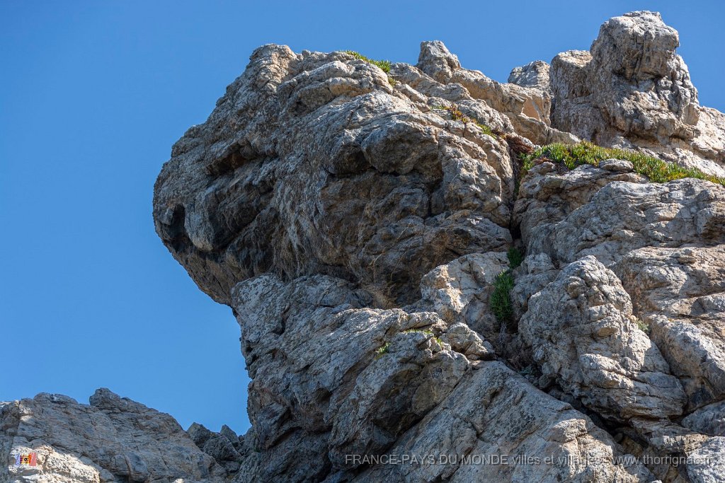 Cap des Medes 16.jpg - 95  - Porquerolles (Hyères) - 83 - Paréidolie au Cap des Mèdes