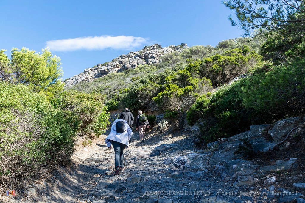 Cap des Medes 9.jpg - 79  - Porquerolles (Hyères) - 83 - En route vers le Cap des Mèdes