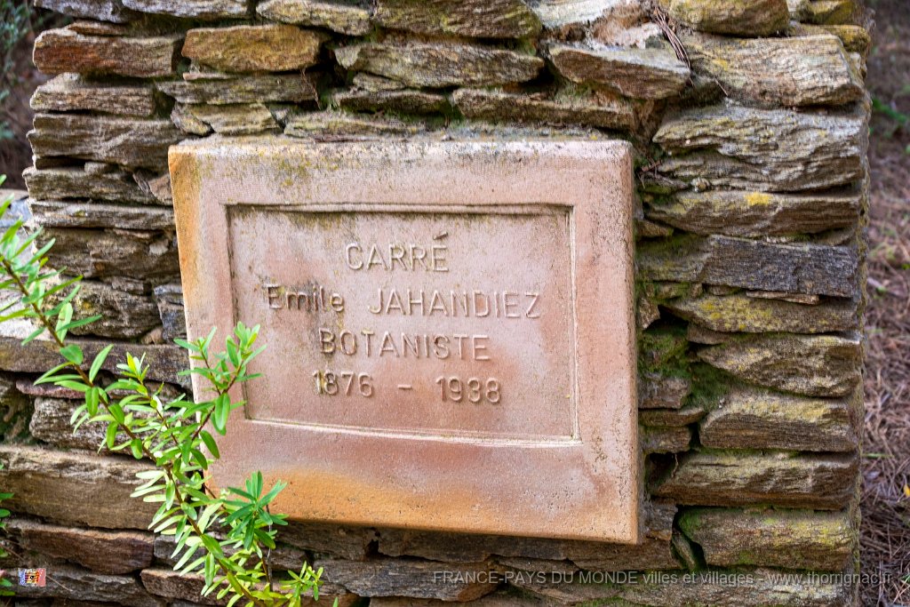 Carre Emile Jahandiez Botaniste 2.jpg - 104  - Porquerolles (Hyères) - 83 - Carre Emile Jahandiez Botaniste 