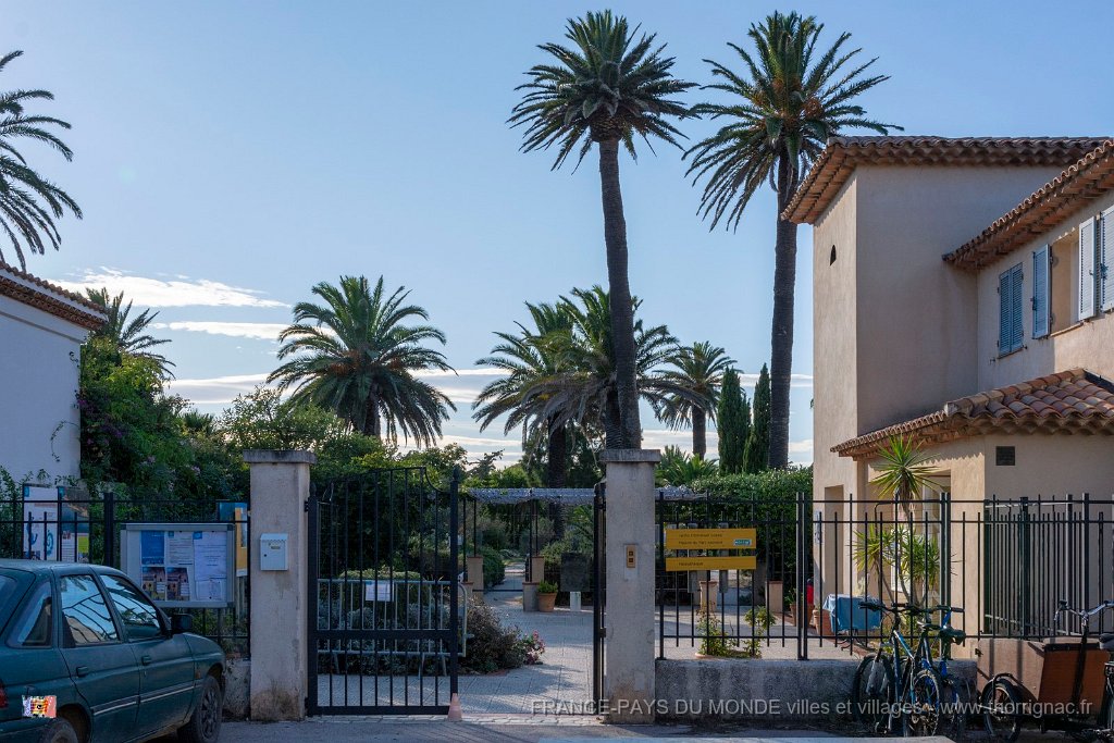Jardin Emmanuel Lopez 3.jpg - 52  - Porquerolles (Hyères) - 83 - Jardin Emmanuel Lopez