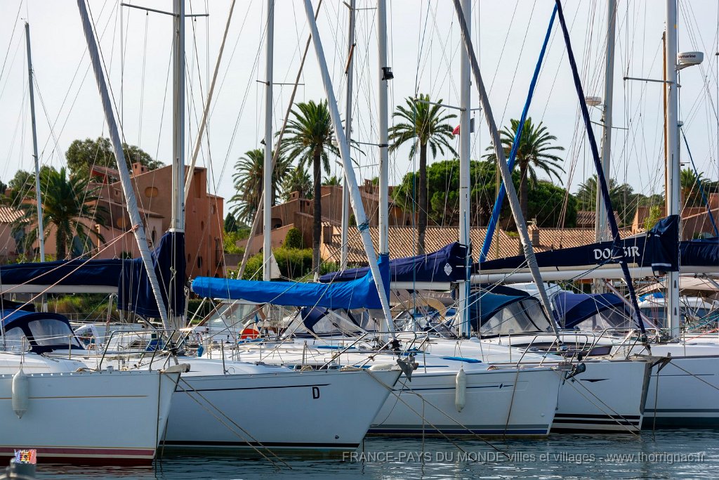 Le port 13.jpg - 20  - Porquerolles (Hyères) - 83 -  Le port