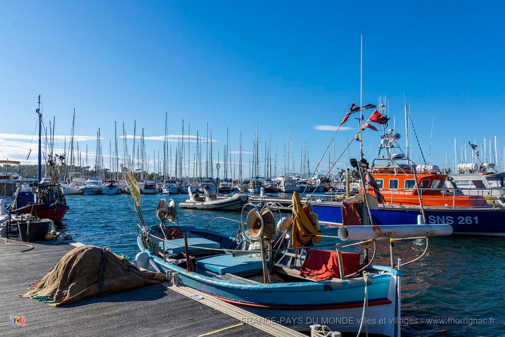 Le port 23.jpg - 10  - Porquerolles (Hyères) - 83 -  Le port