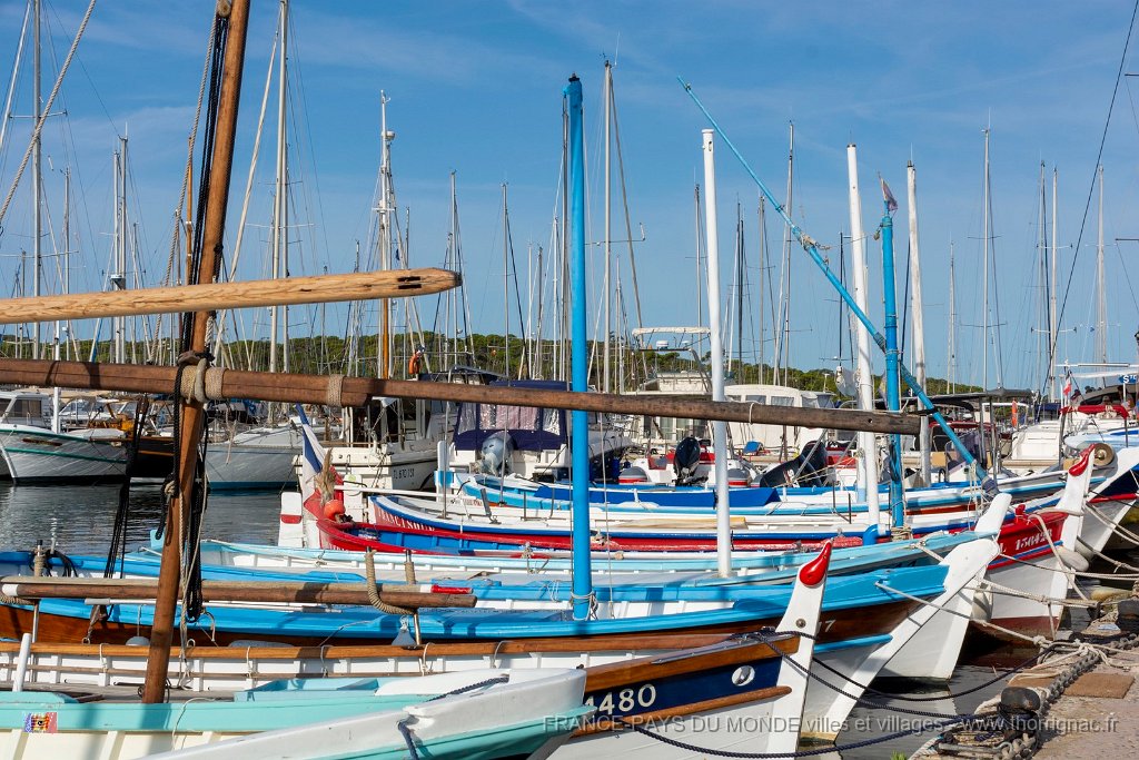 Le port 5.jpg - 12  - Porquerolles (Hyères) - 83 -  Le port