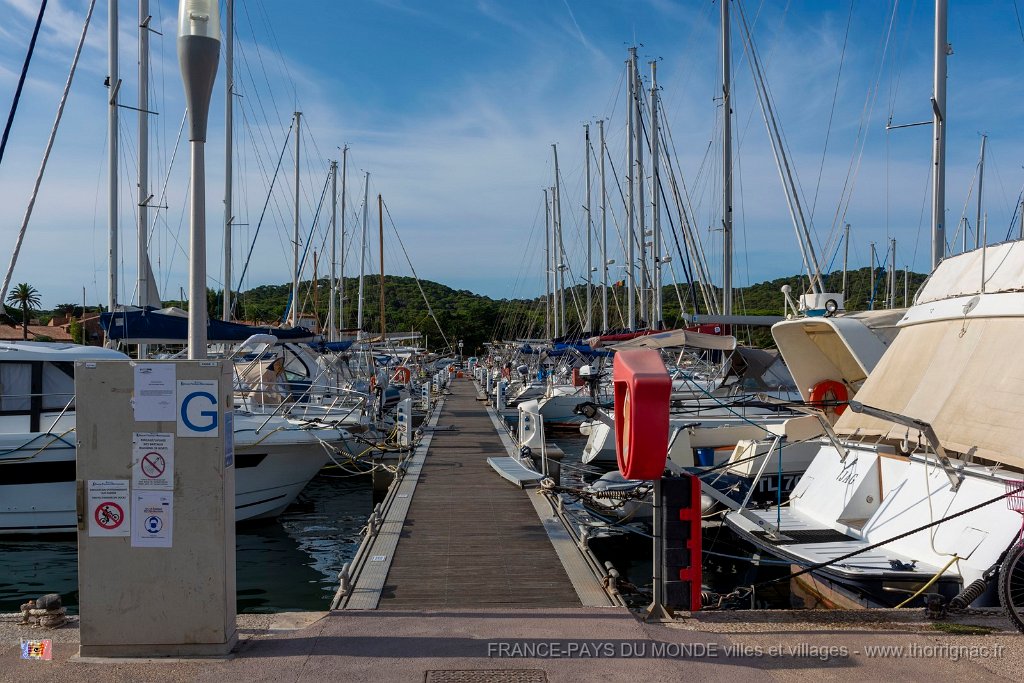 Le port 8.jpg - 17  - Porquerolles (Hyères) - 83 -  Le port
