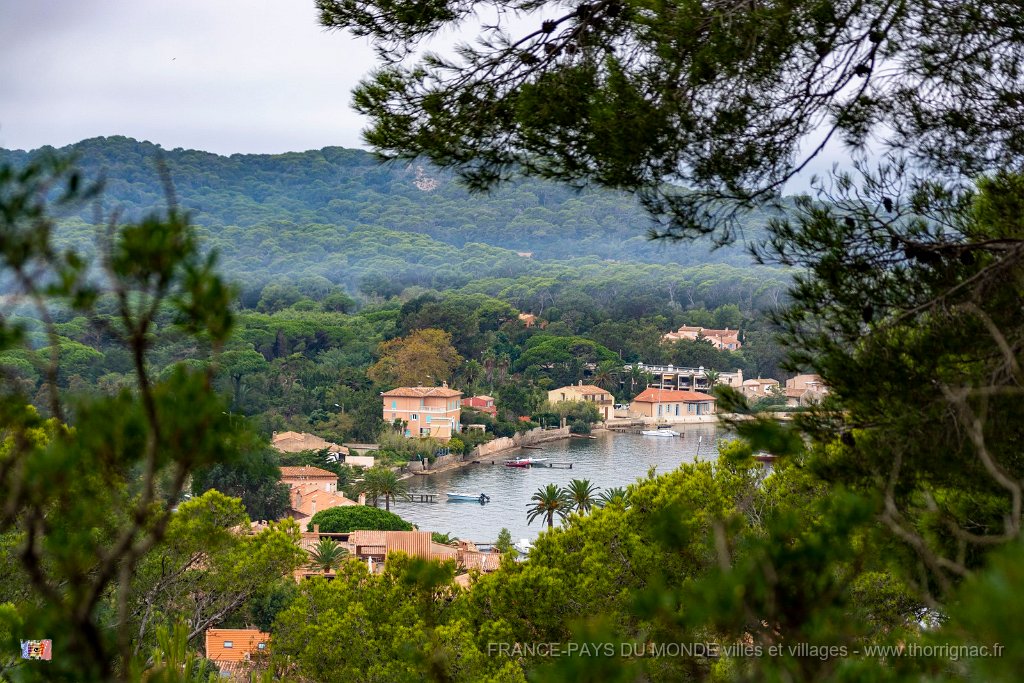 Le port.jpg - 138  - Porquerolles (Hyères) - 83 - L'arrière du port