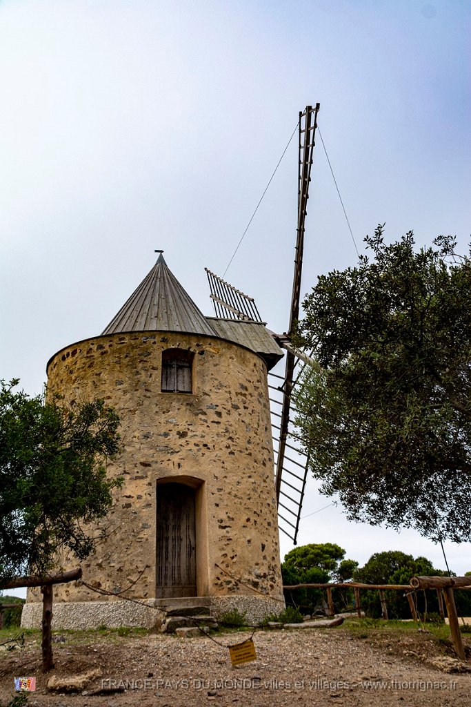 Moulin du Bonheur 7.jpg - 205  - Porquerolles (Hyères) - 83 -  Le Moulin du Bonheur