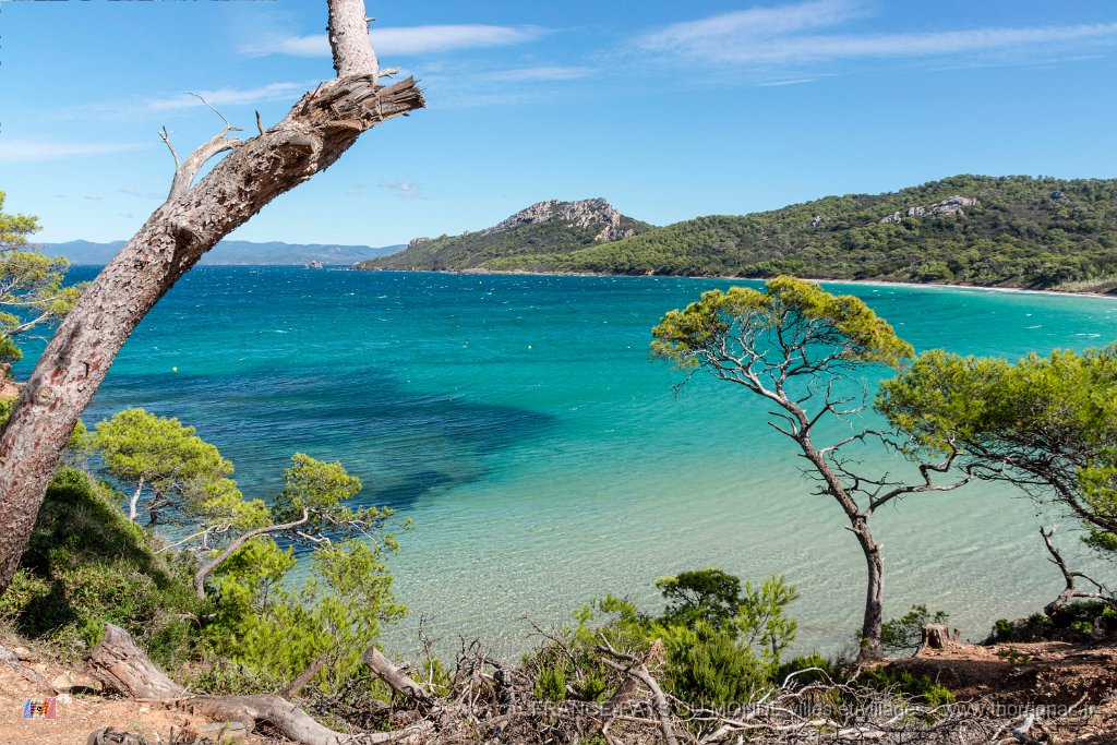 Plage Notre Dame 2 bis.jpg - 70 1 - Porquerolles (Hyères) - 83 - Plage Notre Dame sous mistral