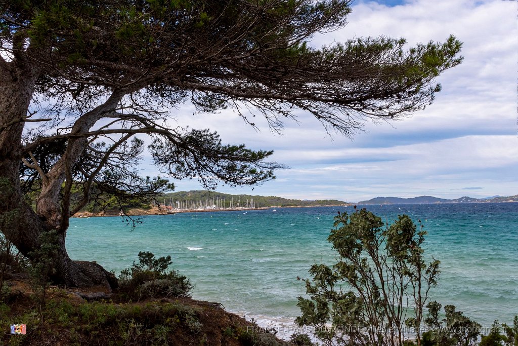 Plage Notre Dame 3.jpg - 73  - Porquerolles (Hyères) - 83 - Plage Notre Dame sous mistral