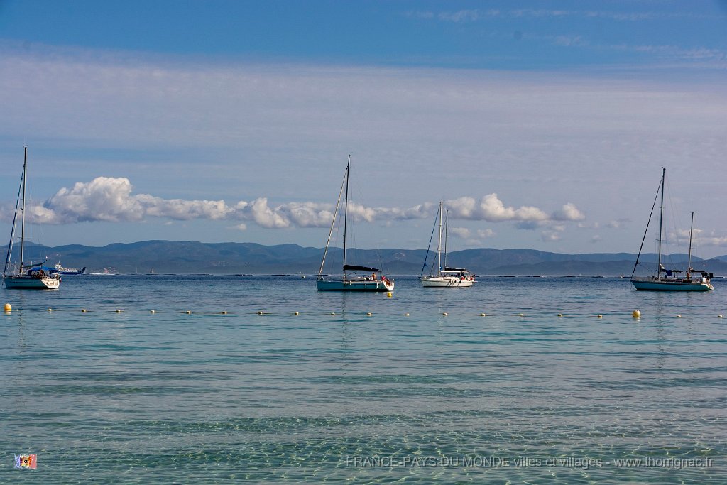 Plage d Argent 11.jpg - 136  - Porquerolles (Hyères) - 83 - Plage d'Argent