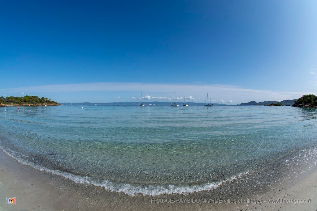 Plage d Argent 12.jpg - 137  - Porquerolles (Hyères) - 83 - Plage d'Argent