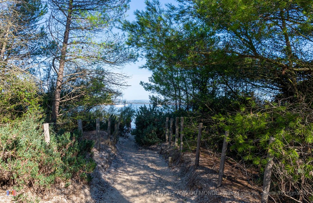 Plage d Argent 2.jpg - 127  - Porquerolles (Hyères) - 83 - Plage d'Argent