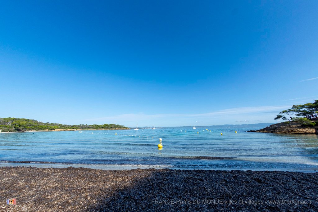 Plage d Argent 3.jpg - 131  - Porquerolles (Hyères) - 83 - Plage d'Argent