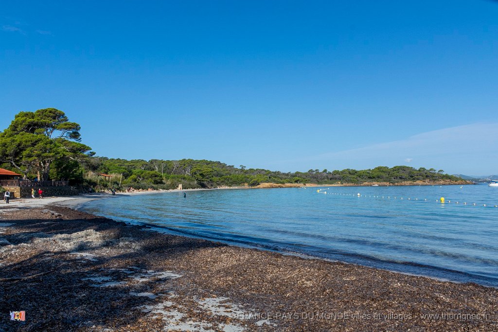 Plage d Argent 4.jpg - 132  - Porquerolles (Hyères) - 83 - Plage d'Argent