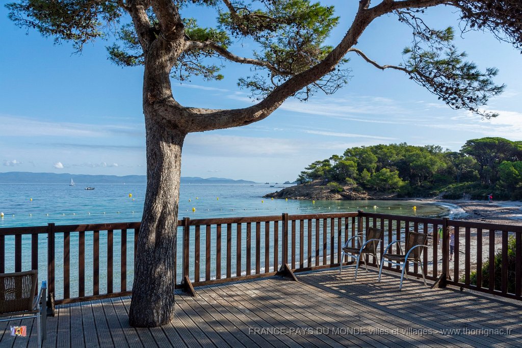 Plage d Argent 6.jpg - 129  - Porquerolles (Hyères) - 83 - Plage d'Argent