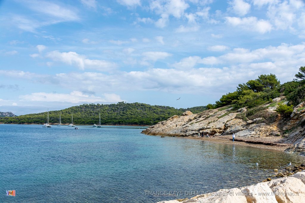 Plage de la Courtade .jpg - 199  - Porquerolles (Hyères) - 83 - Plage de la Courtade 