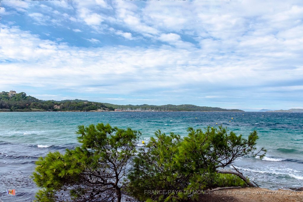 Plage de la Courtade 1.jpg - 191  - Porquerolles (Hyères) - 83 - Plage de la Courtade 