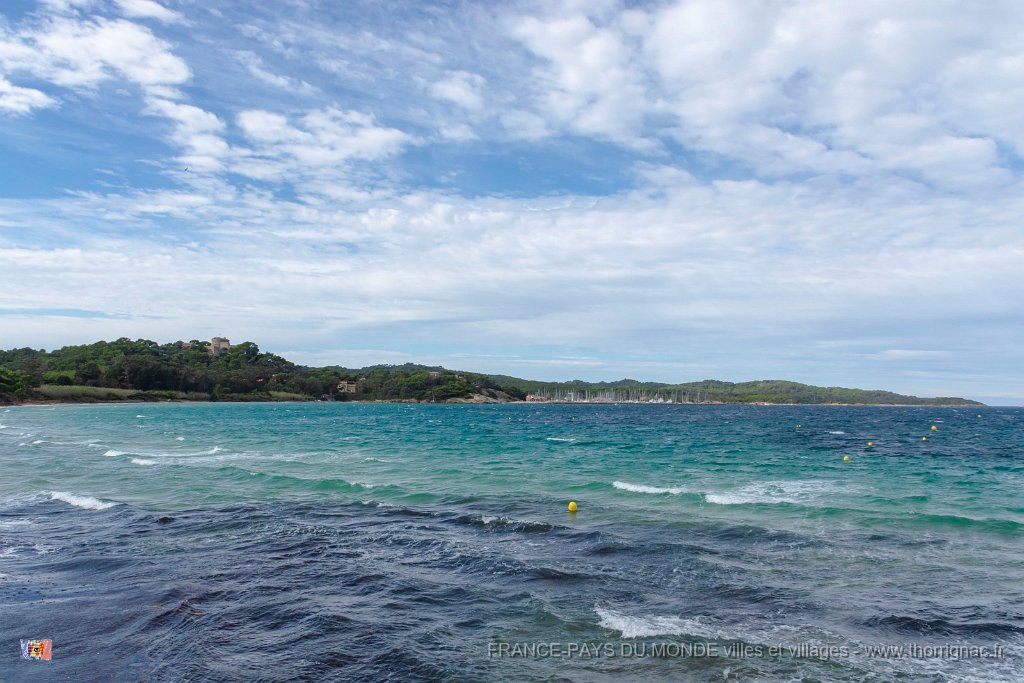 Plage de la Courtade 11.jpg - 197  - Porquerolles (Hyères) - 83 - Plage de la Courtade 