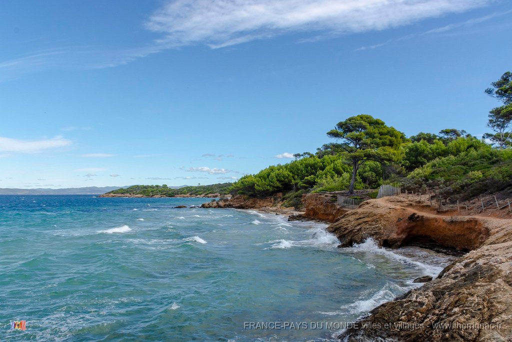 Plage de la Courtade 13.jpg - 198  - Porquerolles (Hyères) - 83 - Plage de la Courtade 