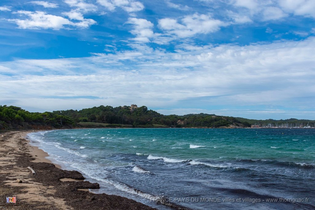 Plage de la Courtade 9.jpg - 196  - Porquerolles (Hyères) - 83 - Plage de la Courtade 