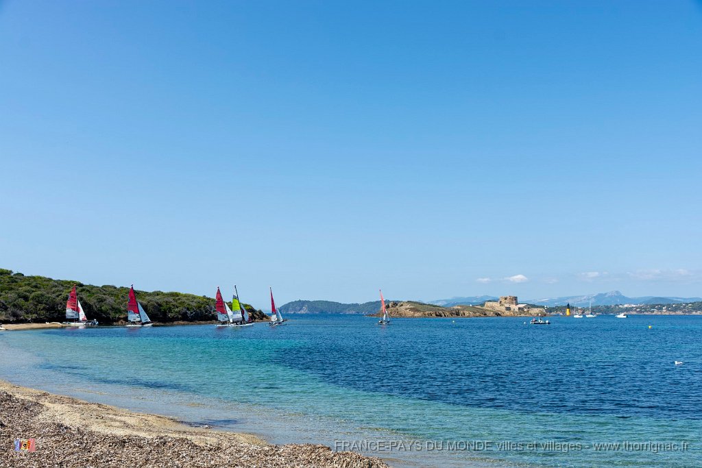 Plage du Langoustier 1.jpg - 147  - Porquerolles (Hyères) - 83 - Plage du Langoustier