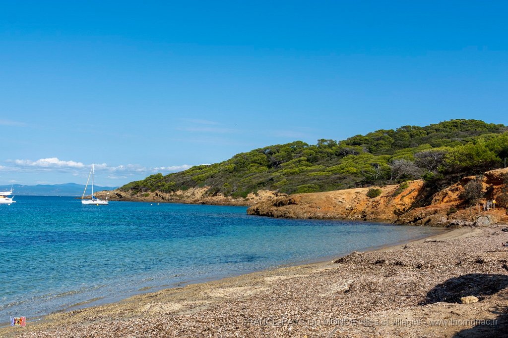 Plage du Langoustier 3.jpg - 149  - Porquerolles (Hyères) - 83  Plage du Langoustier