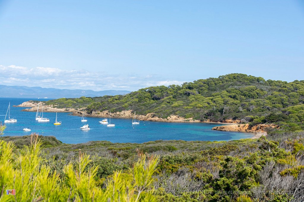 Plage du Langoustier 6.jpg - 153  - Porquerolles (Hyères) - 83 - Plage du Langoustier