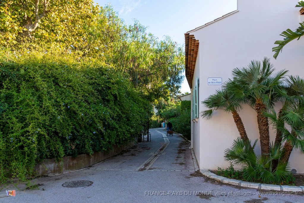 Rues de Porquerolles 4.jpg - 31 - Porquerolles (Hyères) - 83 - Rue du village