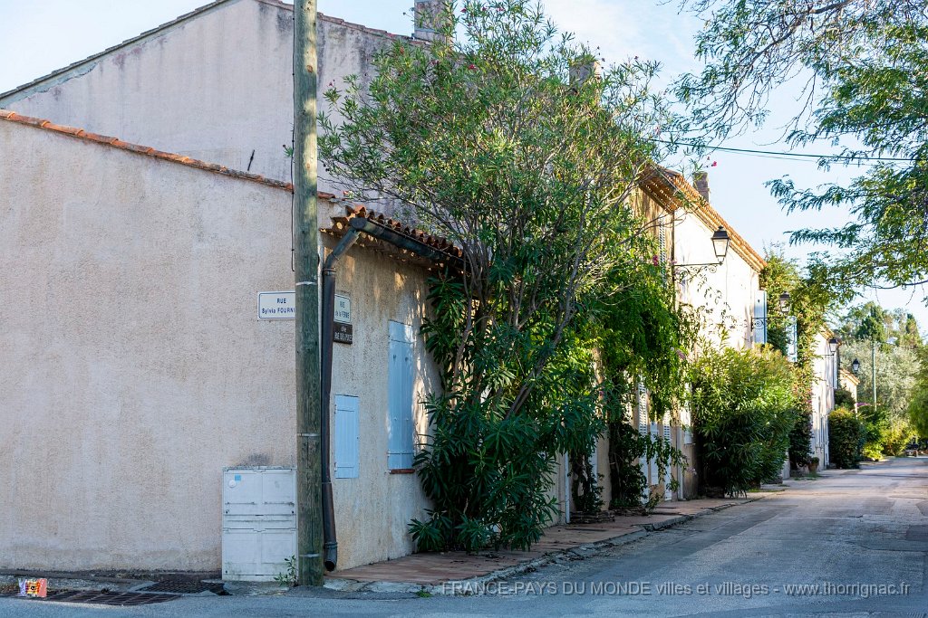 Rues de Porquerolles 5.jpg - 32 - Porquerolles (Hyères) - 83 - Rue du village