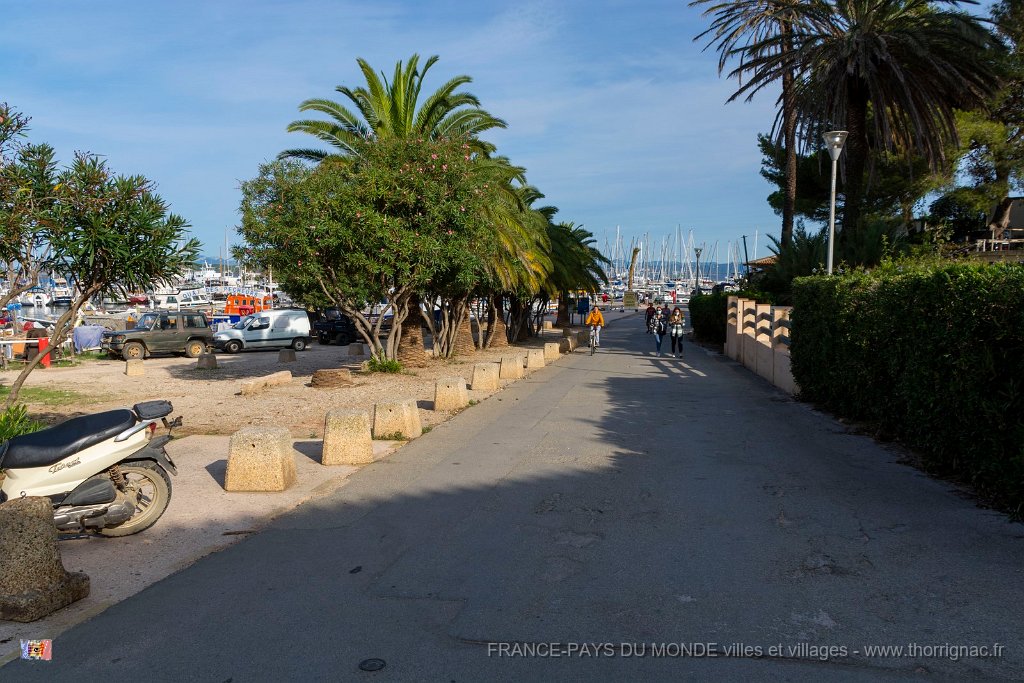 Sur les chemins 11.jpg - 28  - Porquerolles (Hyères) - 83 - Vers le port