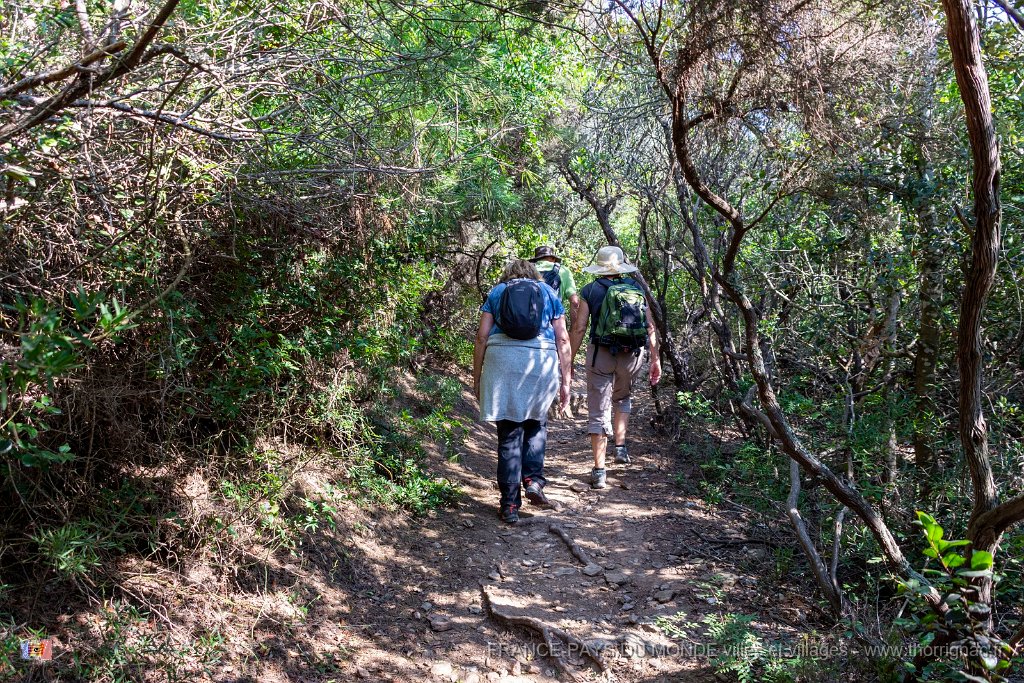 Sur les chemins 5.jpg - 176  - Porquerolles (Hyères) - 83 -  Sur les chemins