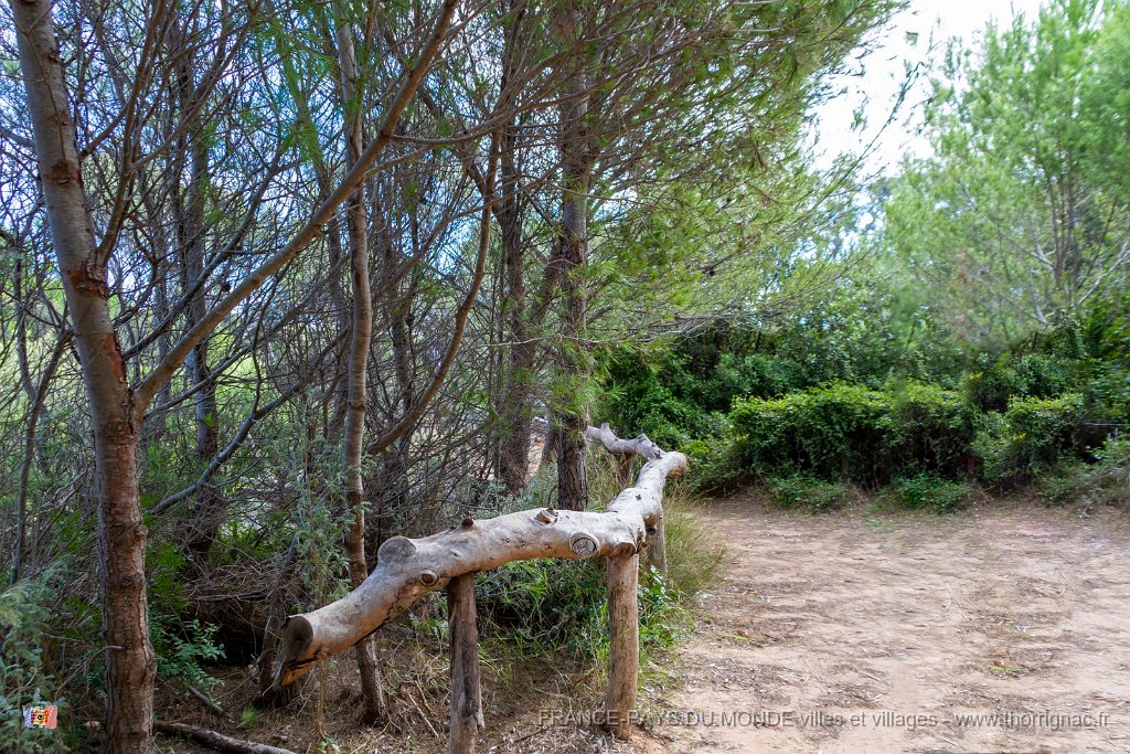 Sur les chemins 8.jpg - 179  - Porquerolles (Hyères) - 83 -  Sur les chemins