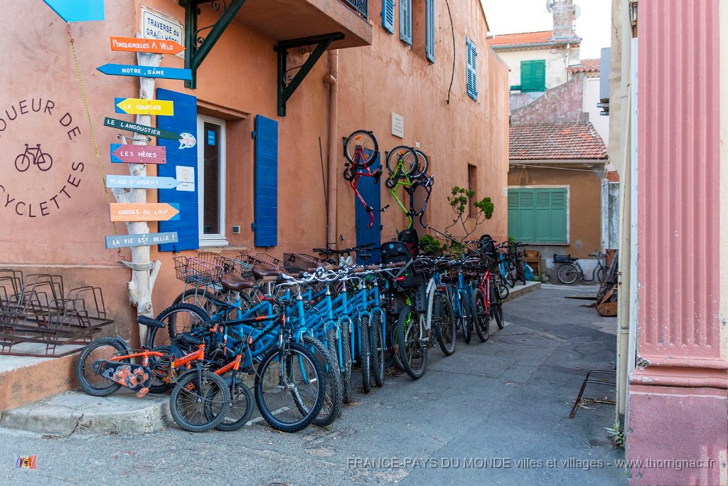 Velos 4.jpg - 39  - Porquerolles (Hyères) - 83 - Rue du village