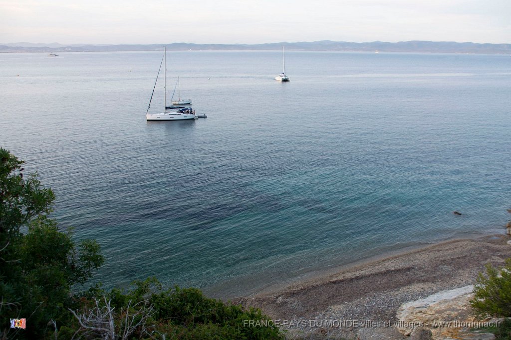 Vers le cap Rousset 4.jpg - 120  - Porquerolles (Hyères) - 83 - Vers le cap Rousset