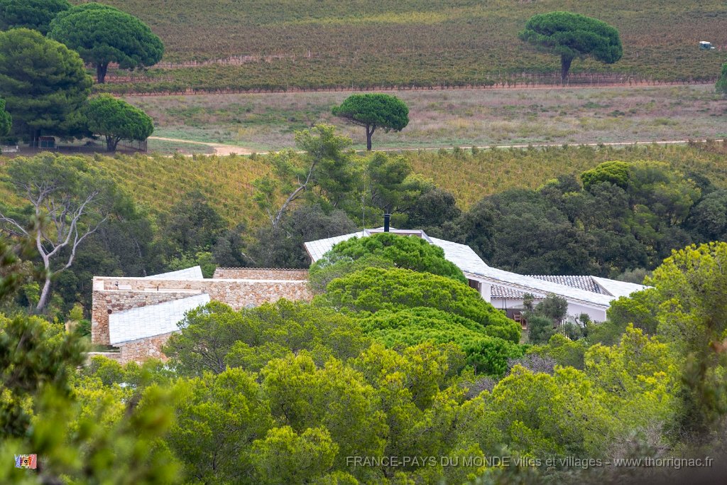 Villa Carmignac .jpg - 141  - Porquerolles (Hyères) - 83 - Vue de la Villa Carmignac