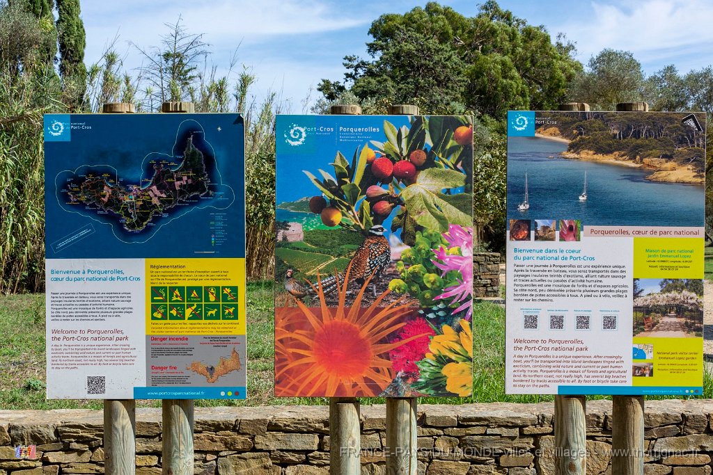 coeur du Parc national.jpg - 173  - Porquerolles (Hyères) - 83 - coeur du Parc national