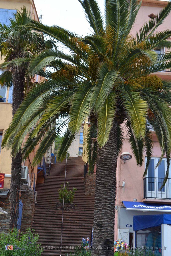 Port Vendres 14 mai 2013 41.JPG - Port-Vendres. Mai 2013