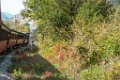 Petit train des Pignes 04 octobre 2018 49
