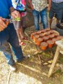 Bouturage olivier 05 09 2018 20