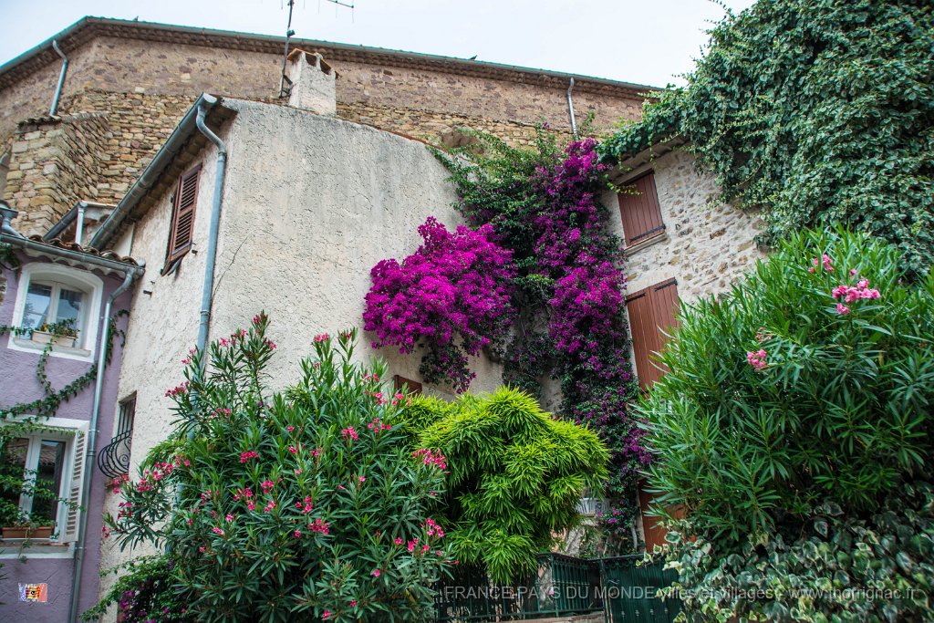 Roquebrune sur Argens 22 07 2018 1.jpg - Roquebrune sur Argens (83) - 22 juillet 2018
