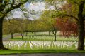 Cimetiere Americain mai 2019 34